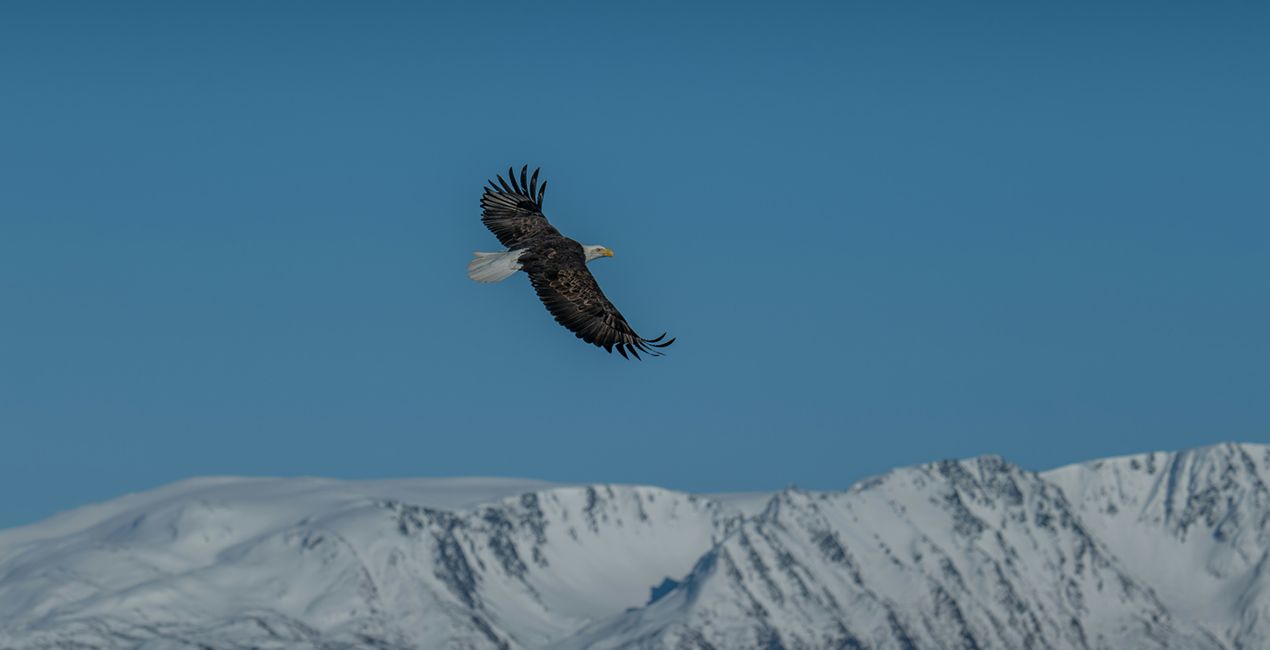 Mystic Galaxy Skies (41)