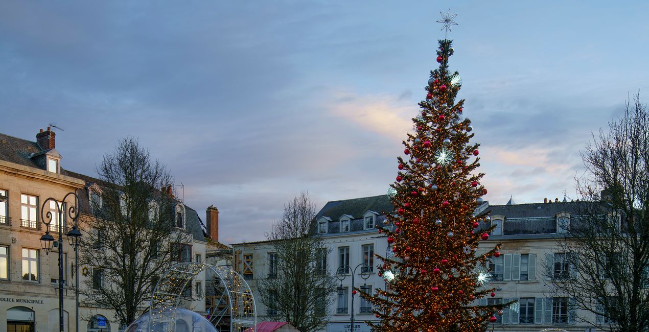 Authentic Skyfields  (39)