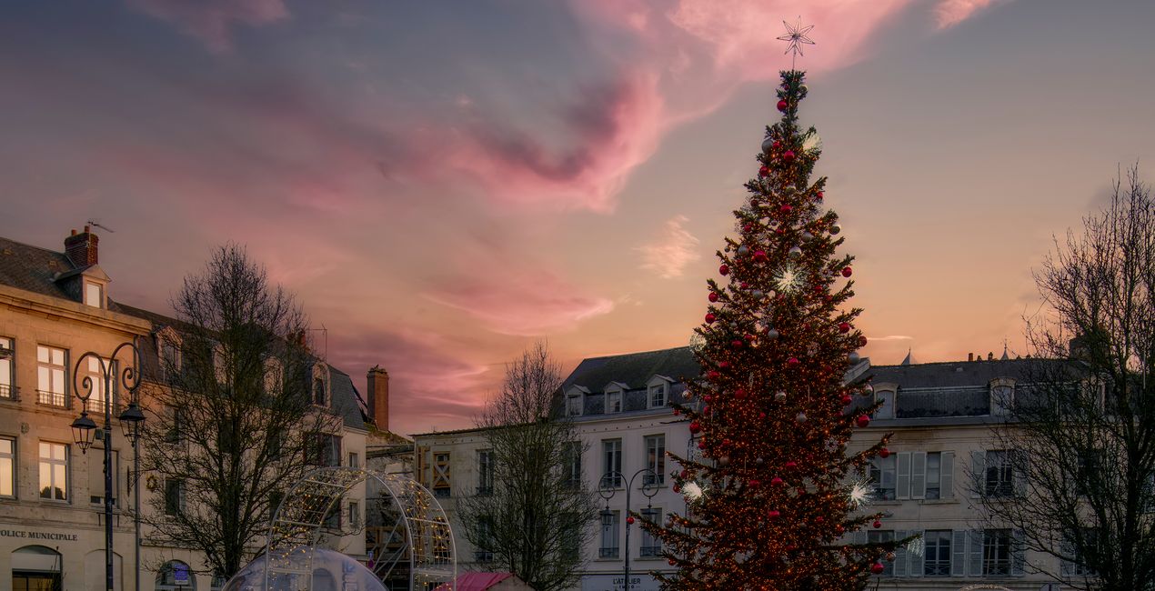 Authentic Skyfields  (40)