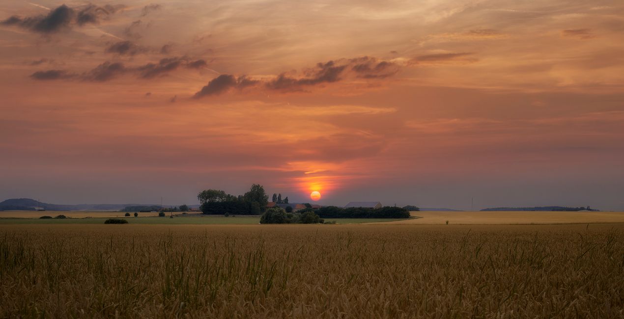 Authentic Skyfields  (46)