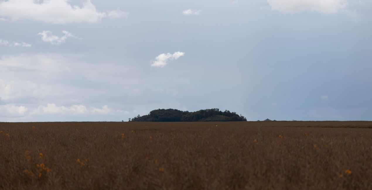 Authentic Skyfields  (41)