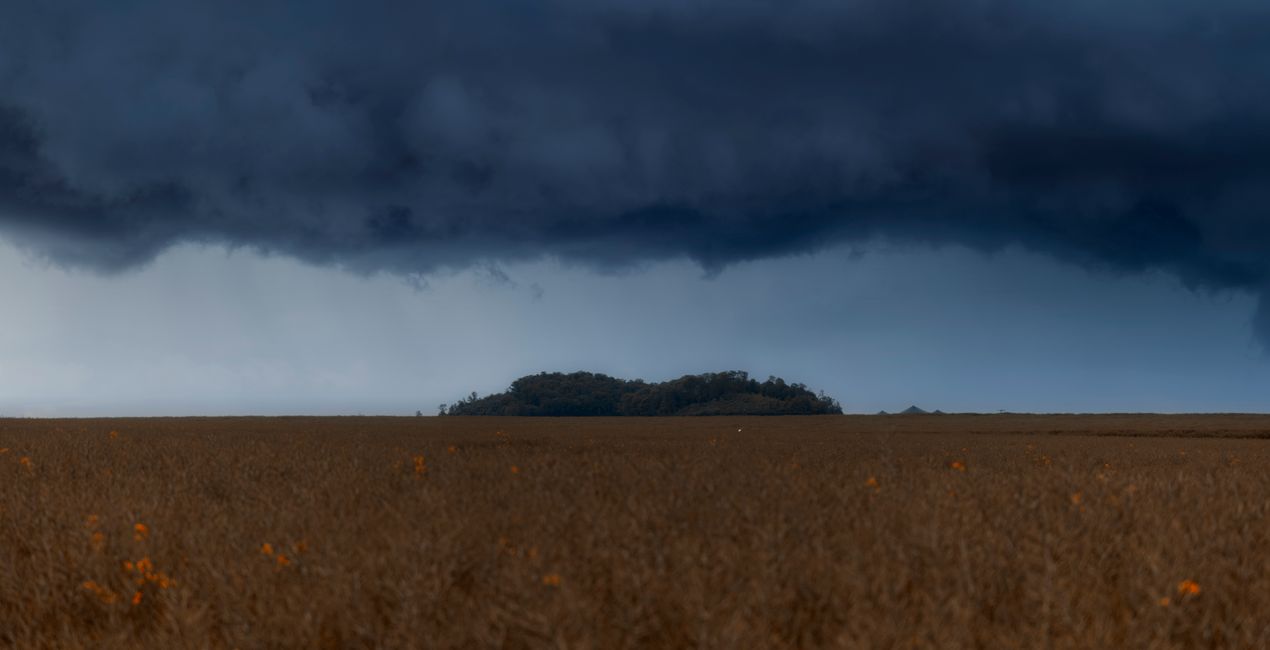 Authentic Skyfields  (42)