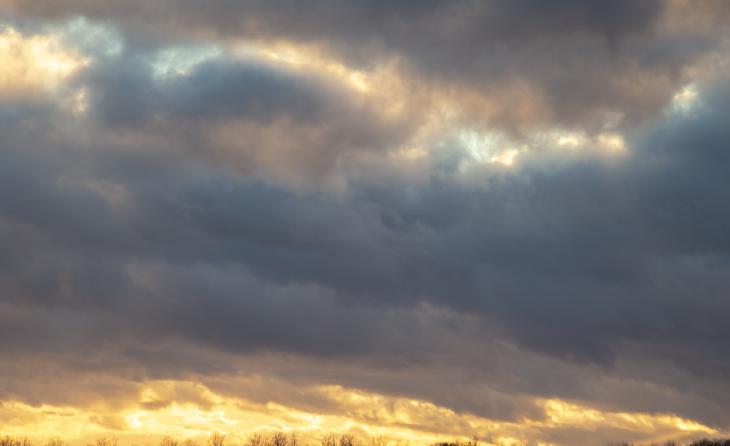 Authentic Skyfields  (60)