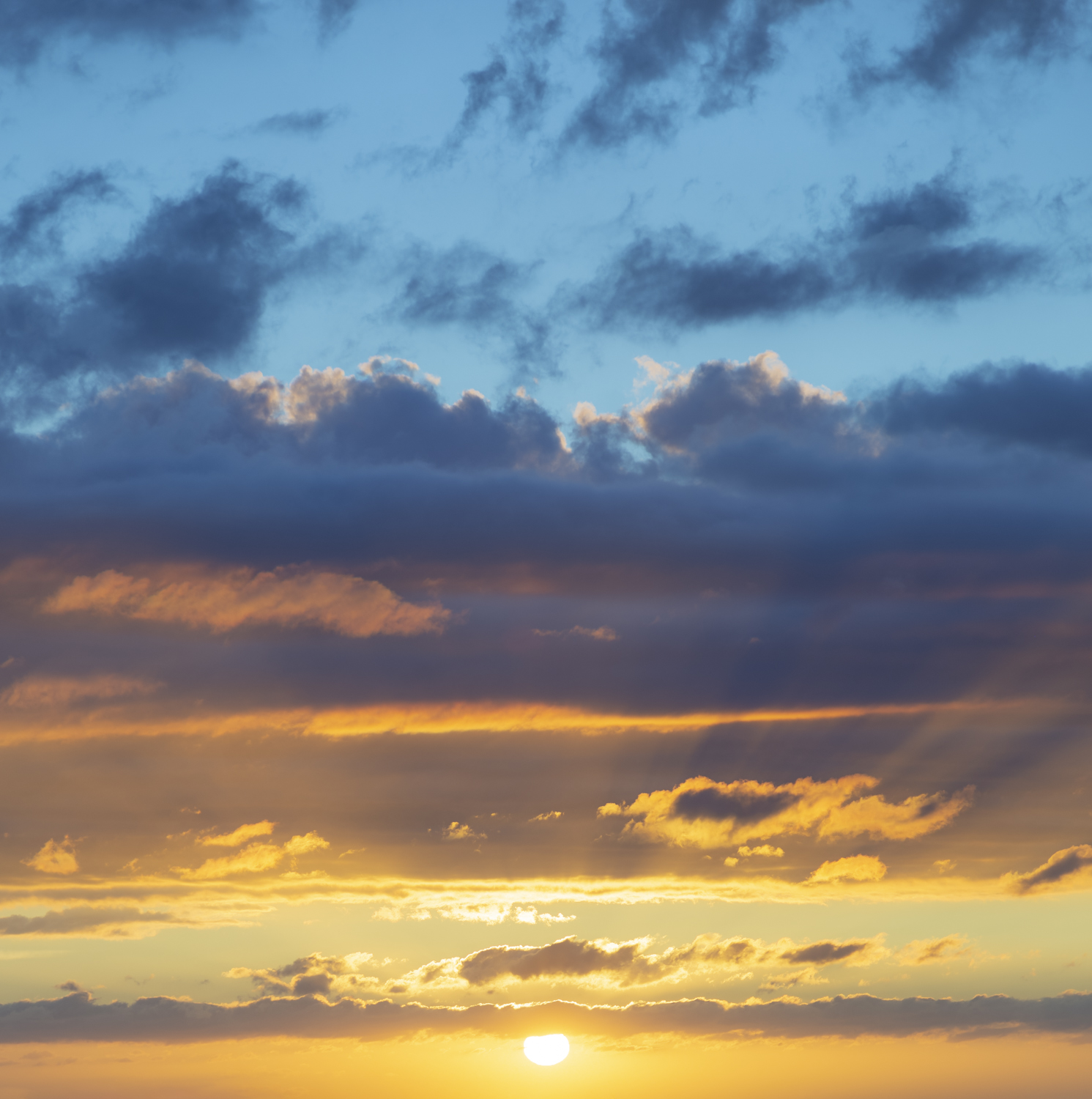 Authentic Skyfields  (65)