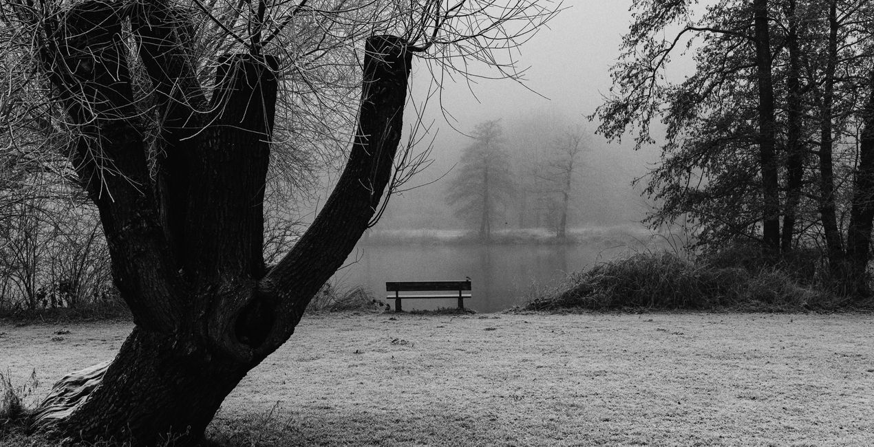  Pinhole Dreams Presets for Luminar | Marketplace(44)