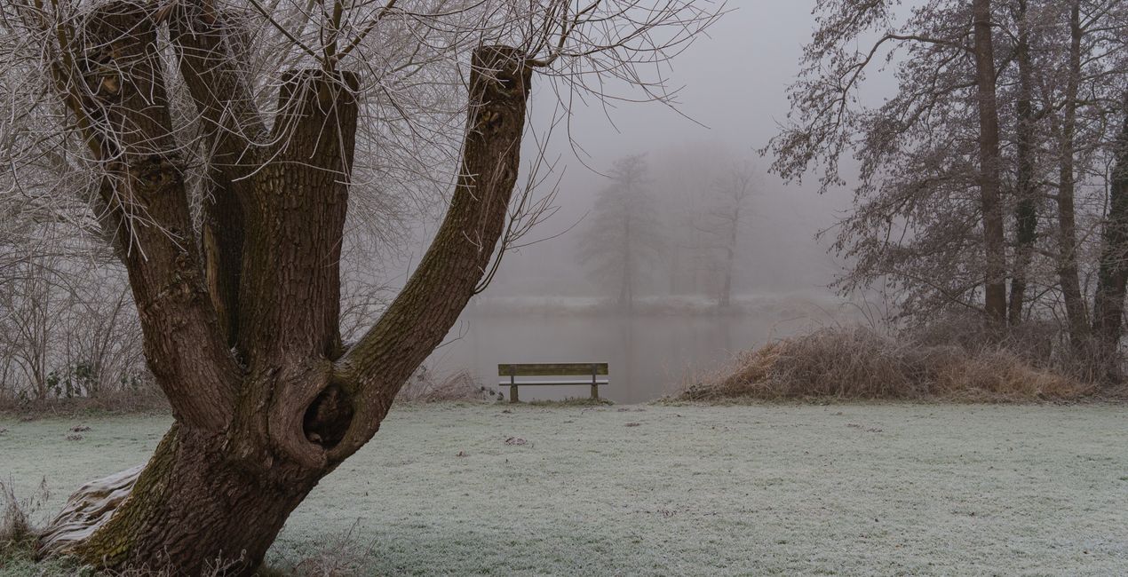  Pinhole Dreams Presets for Luminar | Marketplace(43)