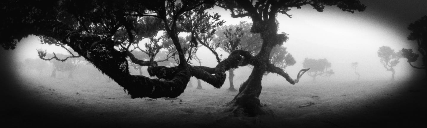  Pinhole Dreams  — slide 3