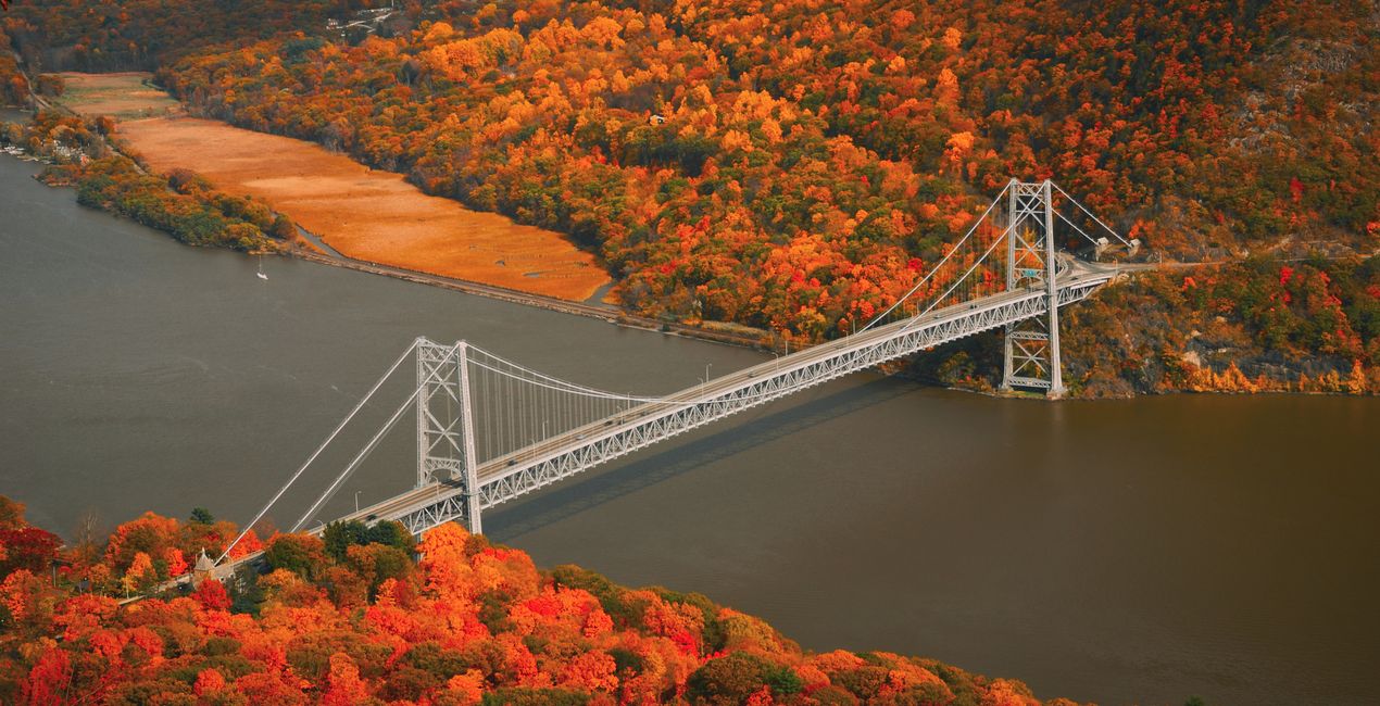 Spectrum Story Presets for Luminar | Marketplace(40)