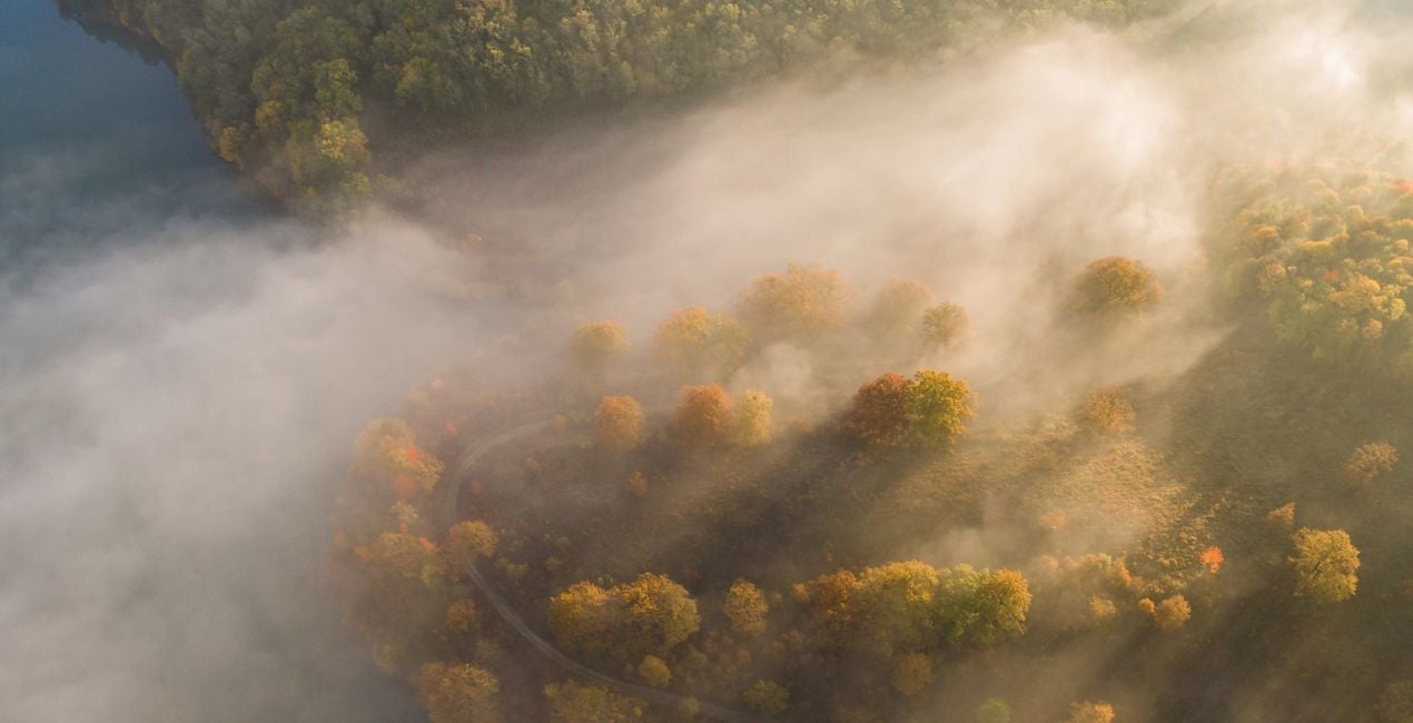 Skyline Tones LUTs | Luminar Marketplace(47)