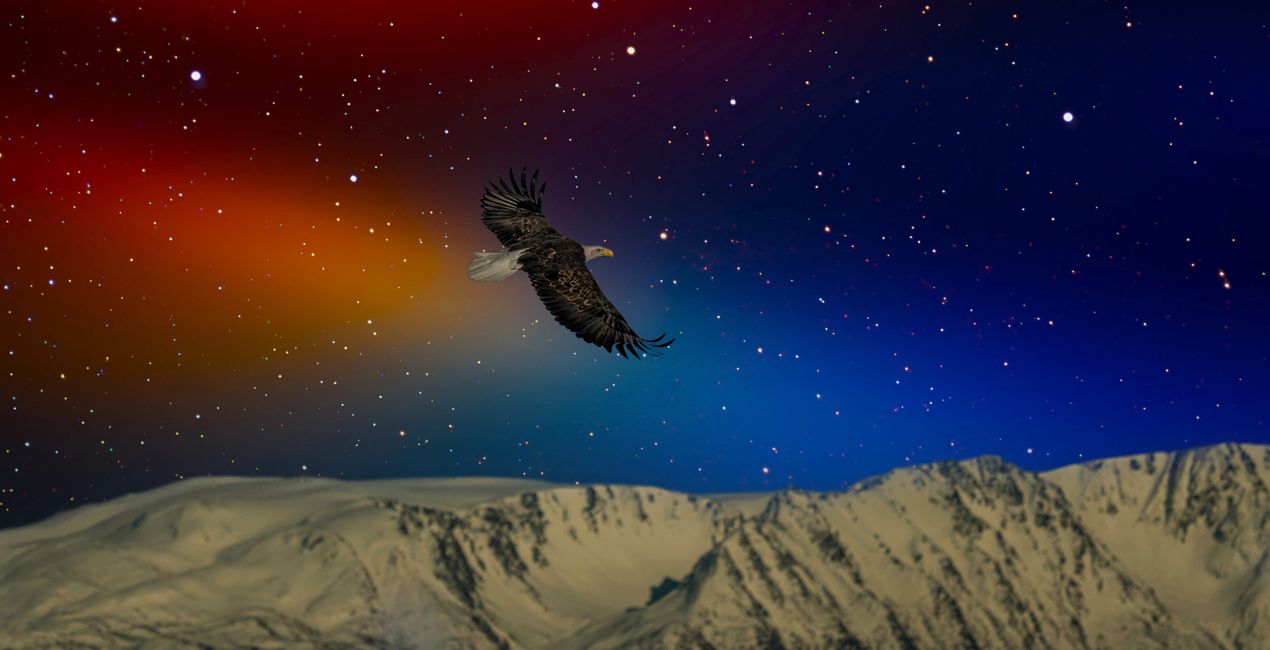 Bundles: Vorbei an den Sternen für deine Fotos.(46)