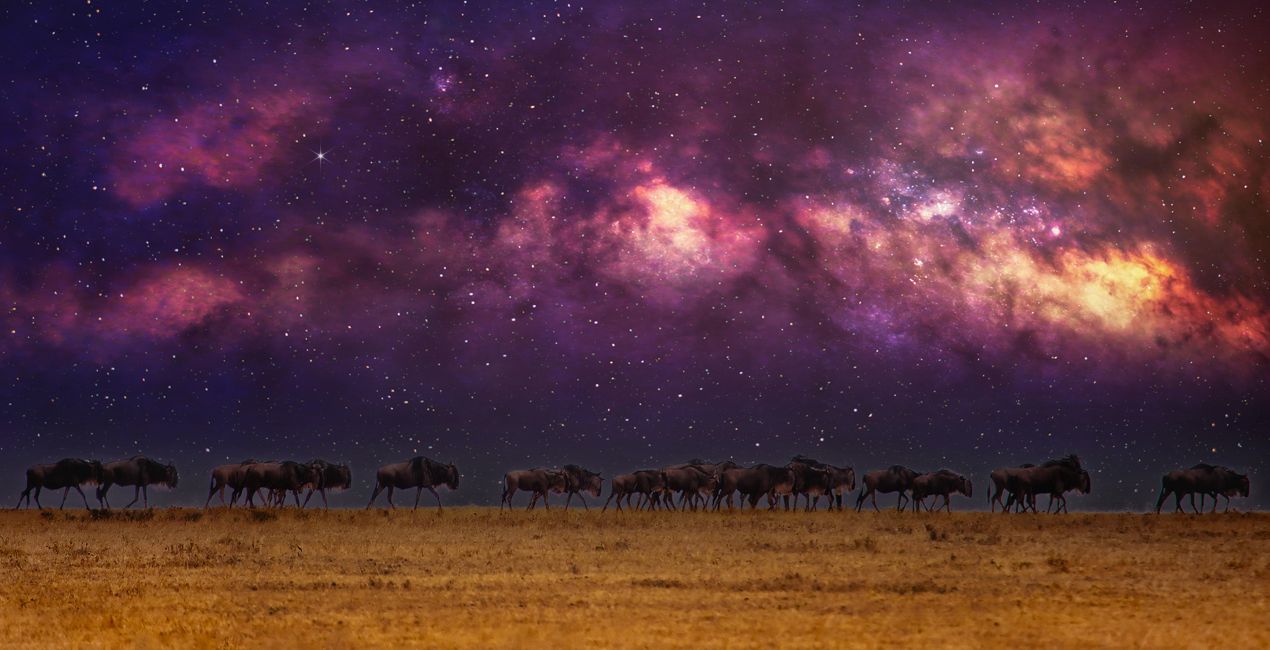 Bundles: Vorbei an den Sternen für deine Fotos.(48)