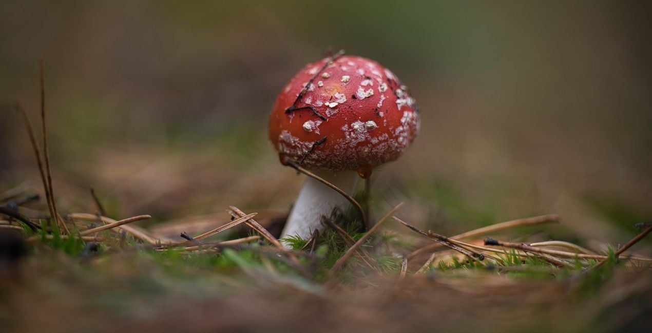 Luminar用 小さな世界 プリセット | マーケットプレイス(45)