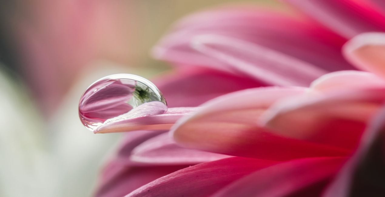 Luminar用 小さな世界 プリセット | マーケットプレイス(42)