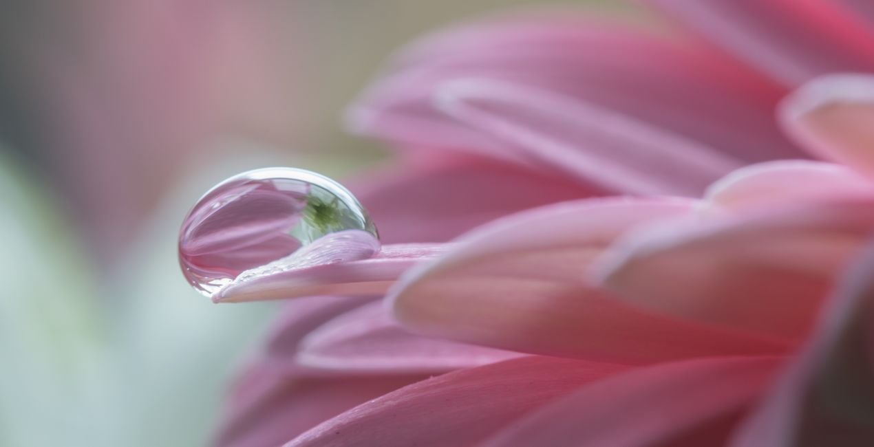 Luminar用 小さな世界 プリセット | マーケットプレイス(41)