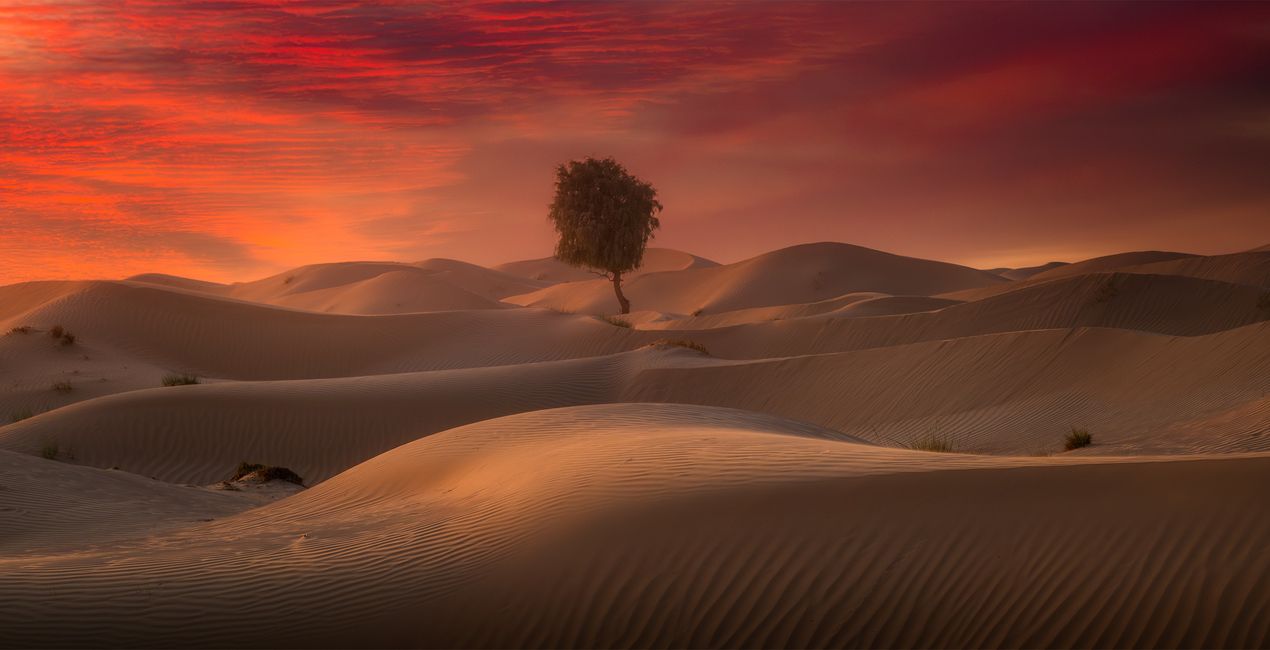 Intense Skies for your photographs(46)