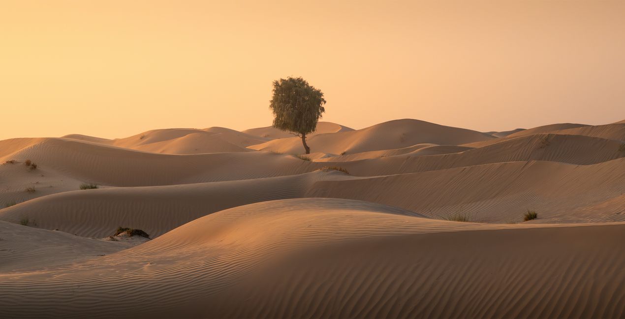 Intense Skies for your photographs(45)