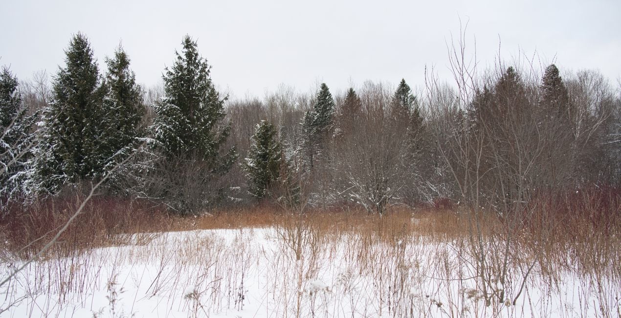 Snowfall Essentials Presets  for Luminar | Marketplace(46)