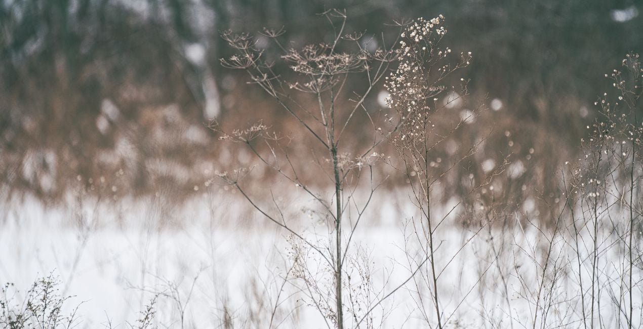 Snowfall Essentials Presets  for Luminar | Marketplace(43)