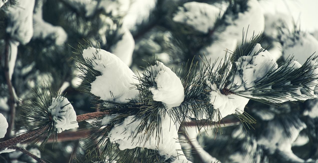 Snowfall Essentials Presets  for Luminar | Marketplace(45)