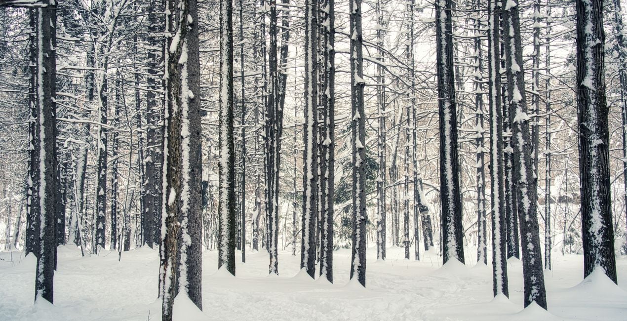 Snowfall Essentials Presets  for Luminar | Marketplace(51)