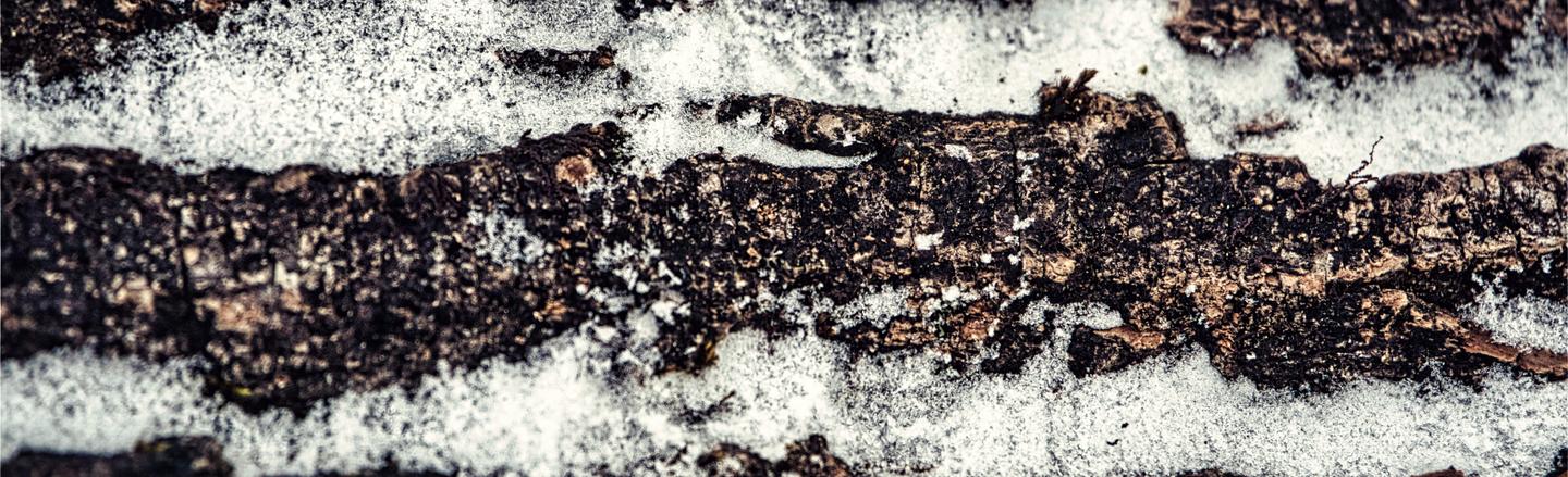 Snowfall Essentials — slide 3