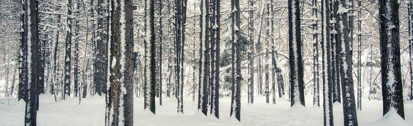 Snowfall Essentials — slide 1