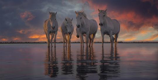 Ember & Pastel Skies image