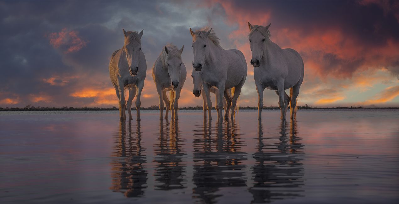 Ember & Pastel Skies for your photographs.(45)