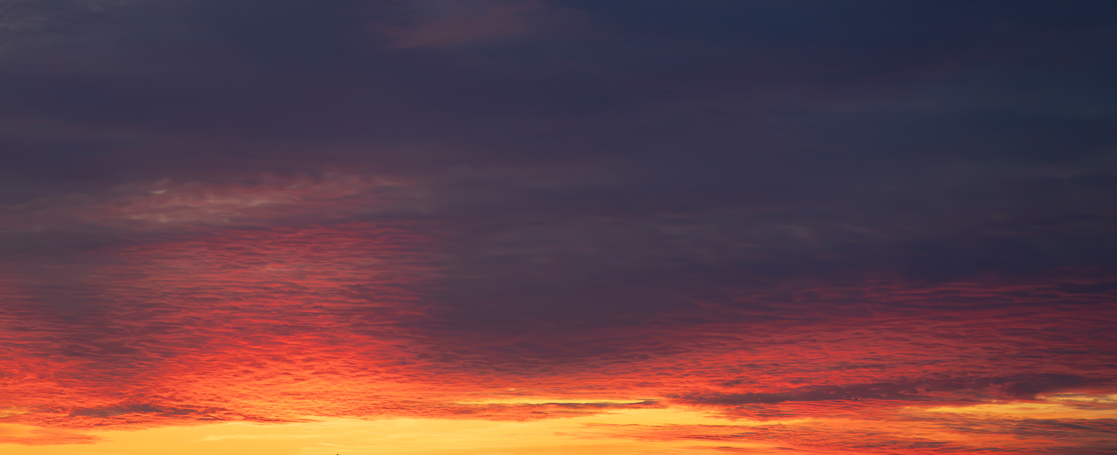 Ember & Pastel Skies for your photographs.(52)