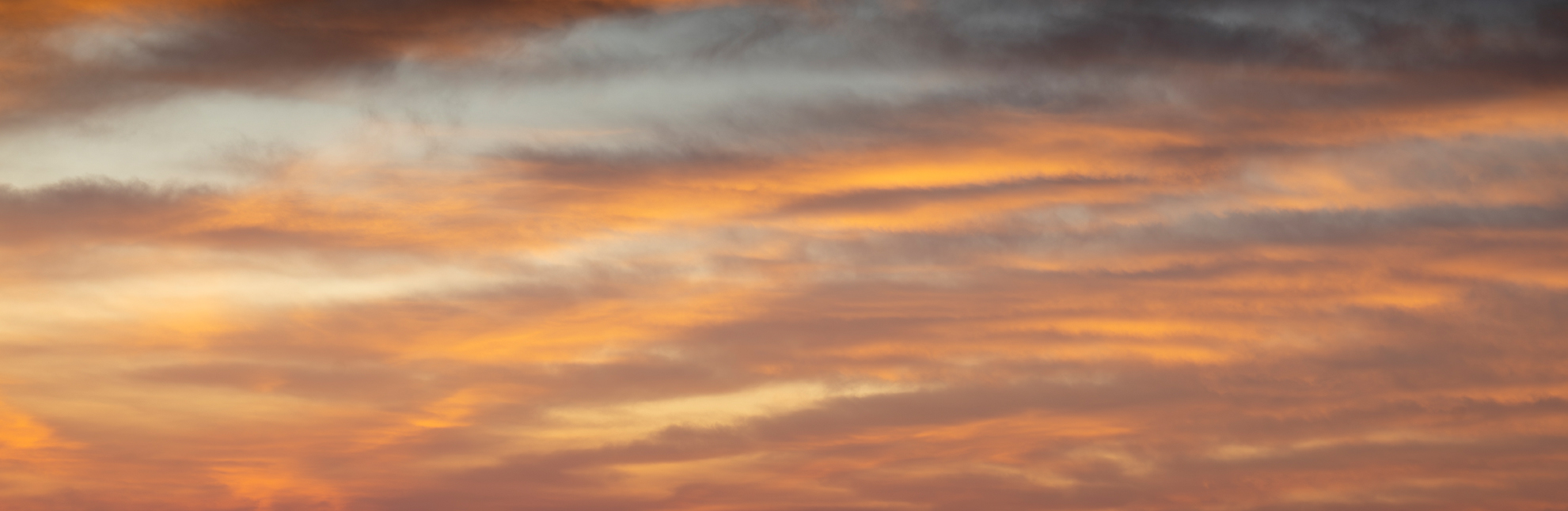 Ember & Pastel Skies for your photographs.(56)