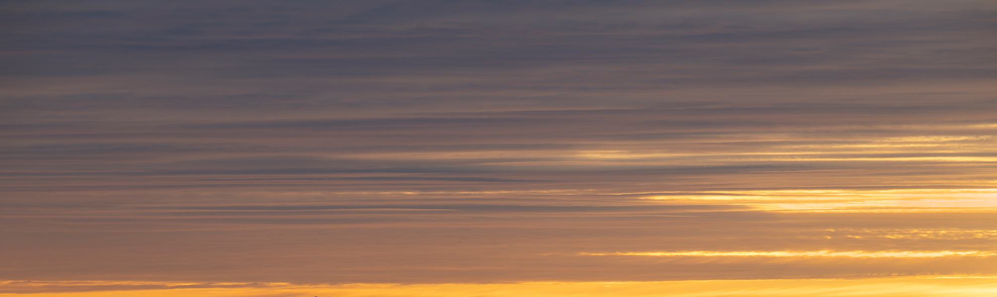 Ember & Pastel Skies for your photographs.(57)