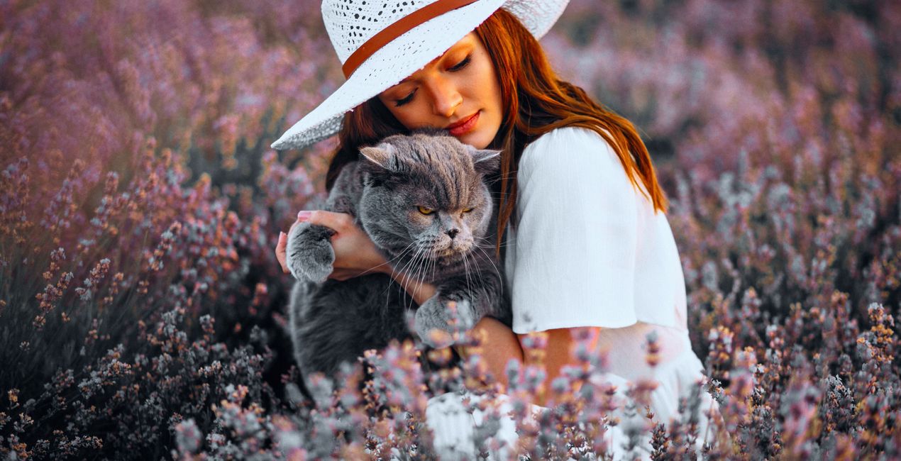 Dominance Presets for Luminar | Marketplace(42)