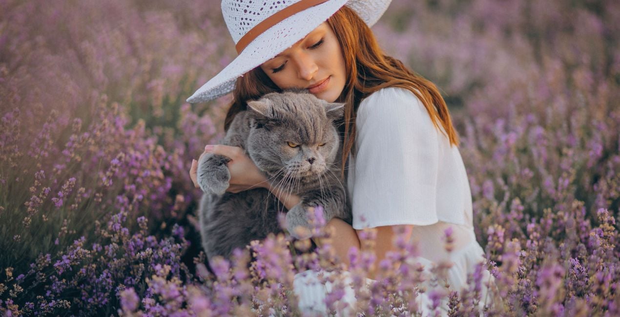 Dominance Presets for Luminar | Marketplace(41)