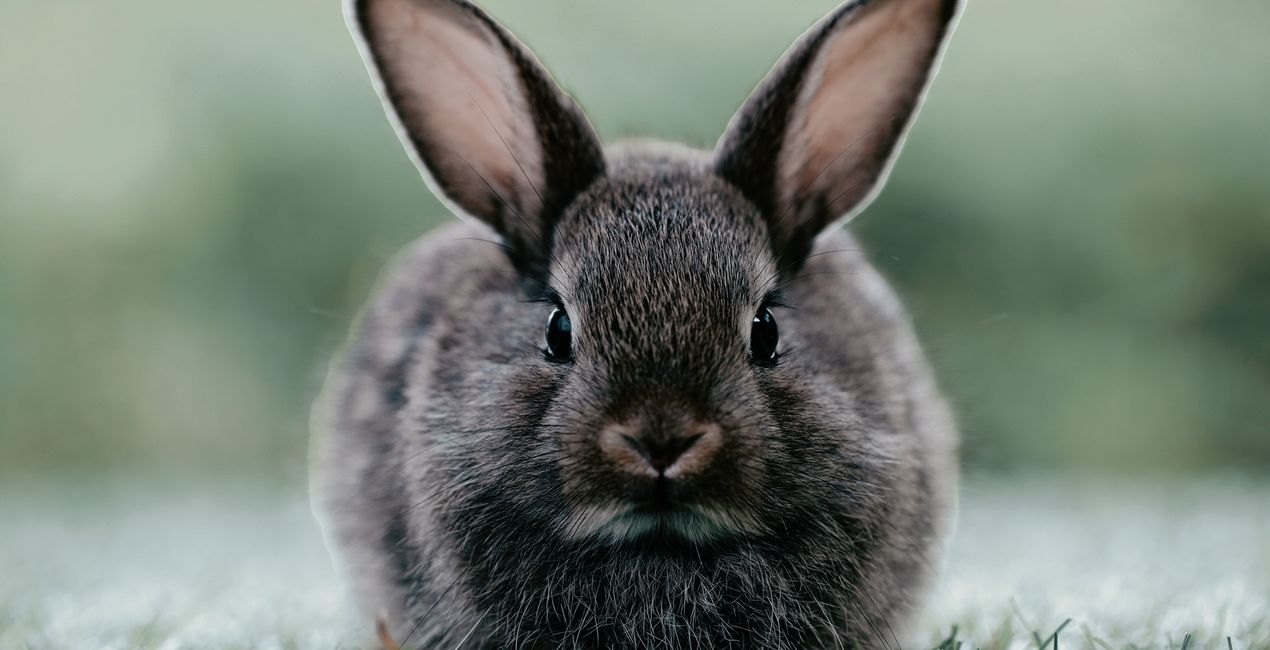 Color Discipline LUTs | Luminar Marketplace(50)