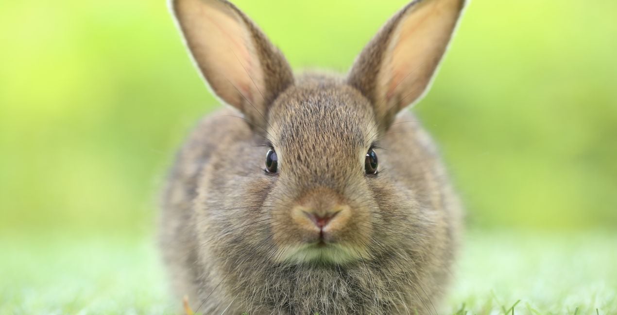 Color Discipline LUTs | Luminar Marketplace(49)