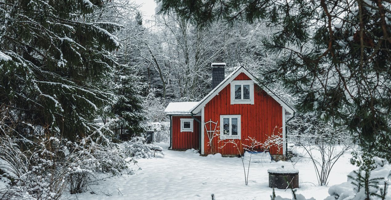 Winter Cottage Mood Presets for Luminar | Marketplace(48)