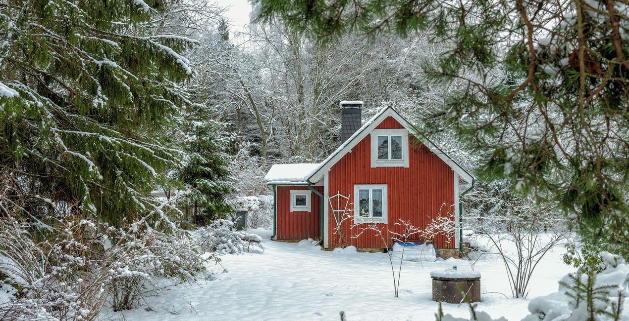 Winter Cottage Mood Presets for Luminar | Marketplace(47)