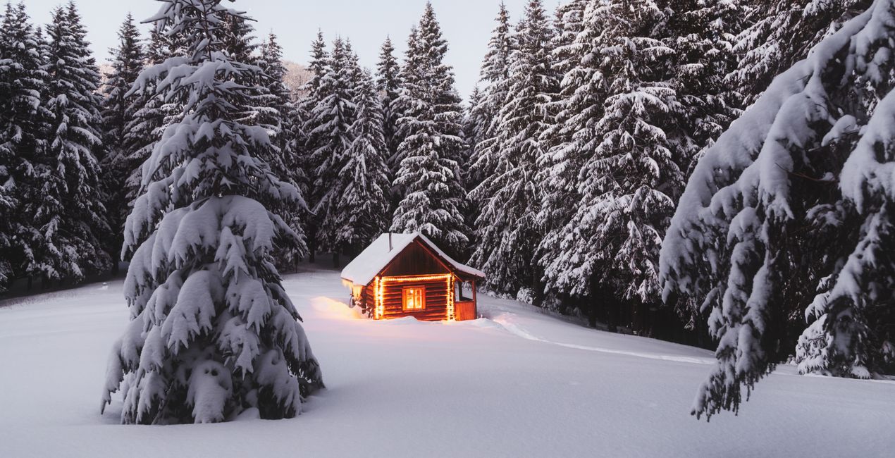 Winter Cottage Mood Presets for Luminar | Marketplace(44)