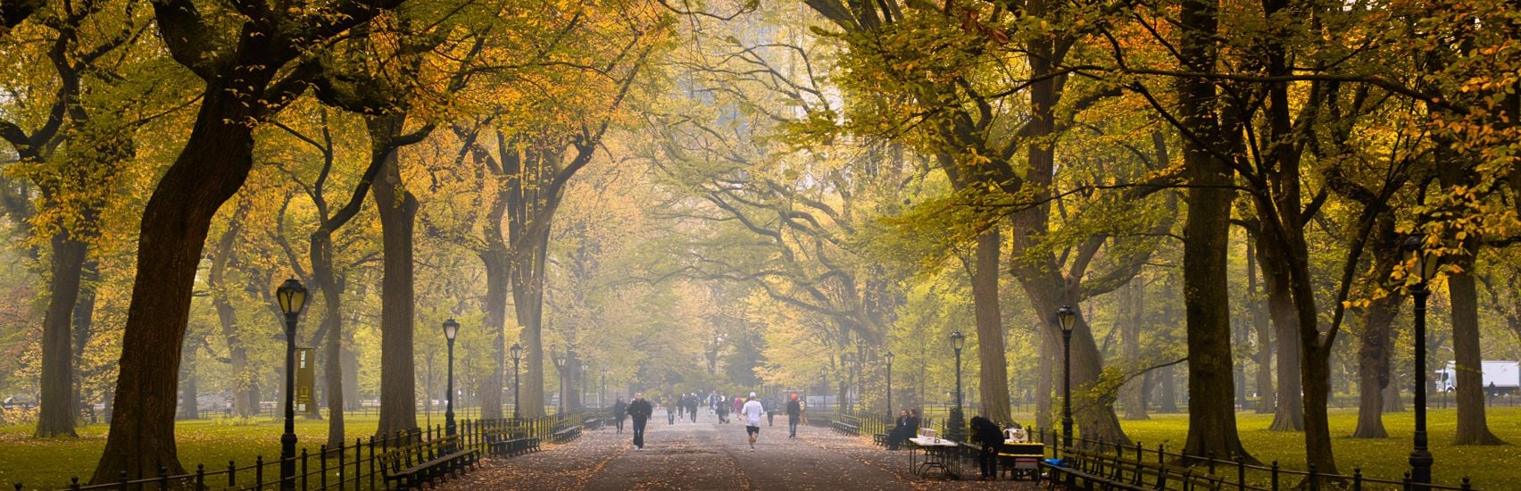 X Membership - Subscribe And Get Exclusive Assets For Photo Editing(369)