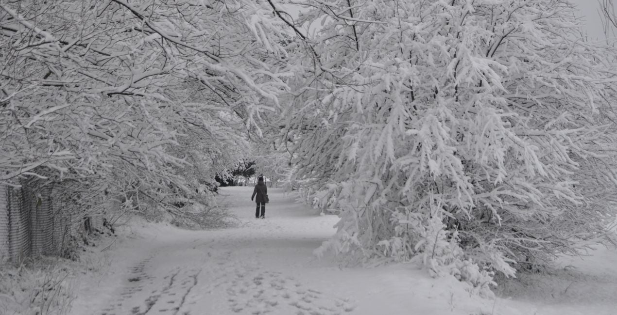 Falling Frost Presets for Luminar | Marketplace(45)