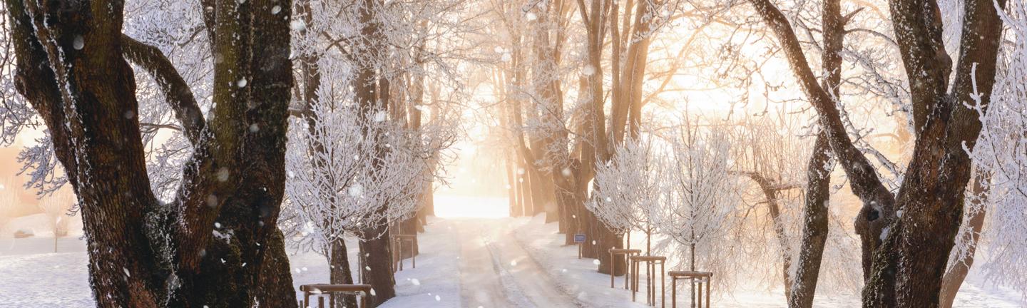 Falling Frost — slide 3