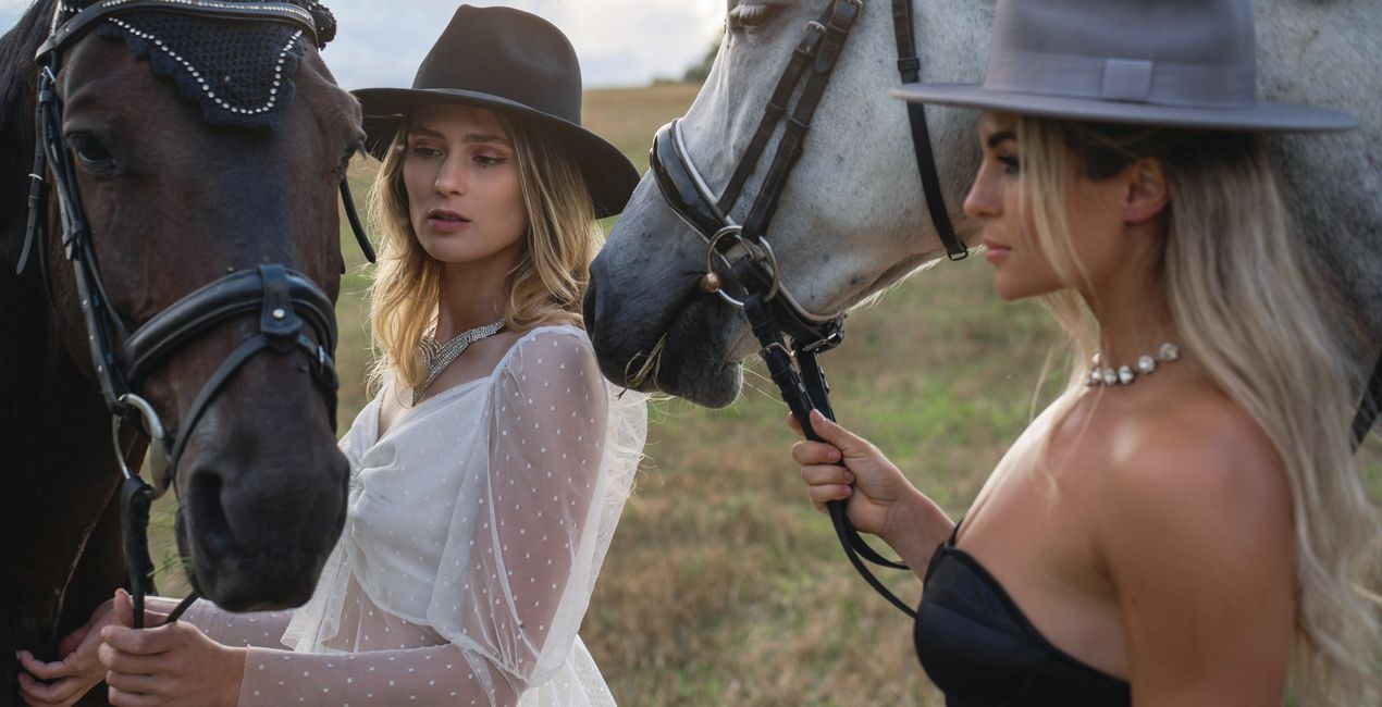 Ajustes Preestablecidos Riendas y Jinetes para Luminar | Marketplace(43)