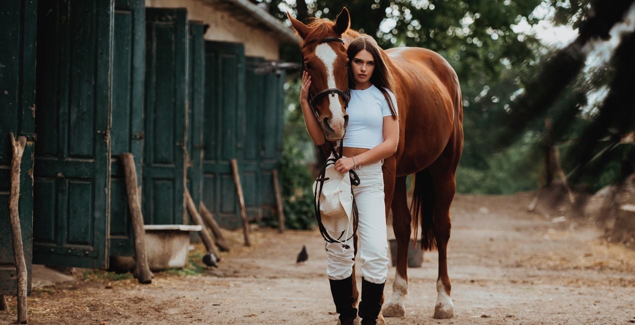 Ajustes Preestablecidos Riendas y Jinetes para Luminar | Marketplace(40)