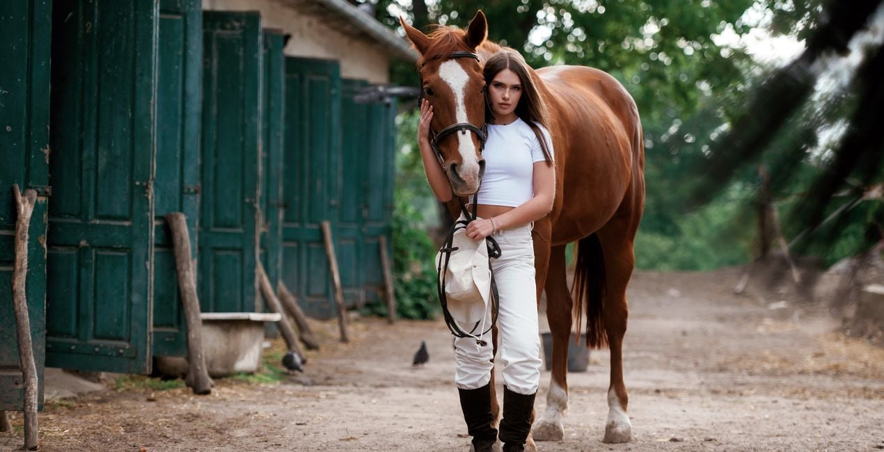 Ajustes Preestablecidos Riendas y Jinetes para Luminar | Marketplace(39)