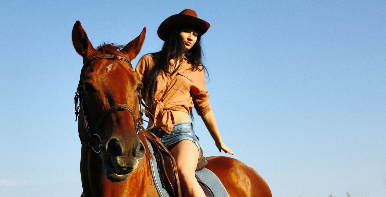 Ajustes Preestablecidos Riendas y Jinetes para Luminar | Marketplace(46)