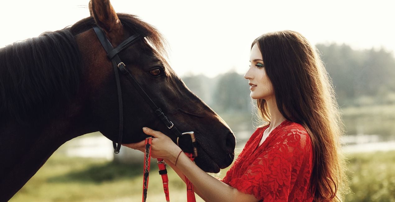 Ajustes Preestablecidos Riendas y Jinetes para Luminar | Marketplace(48)