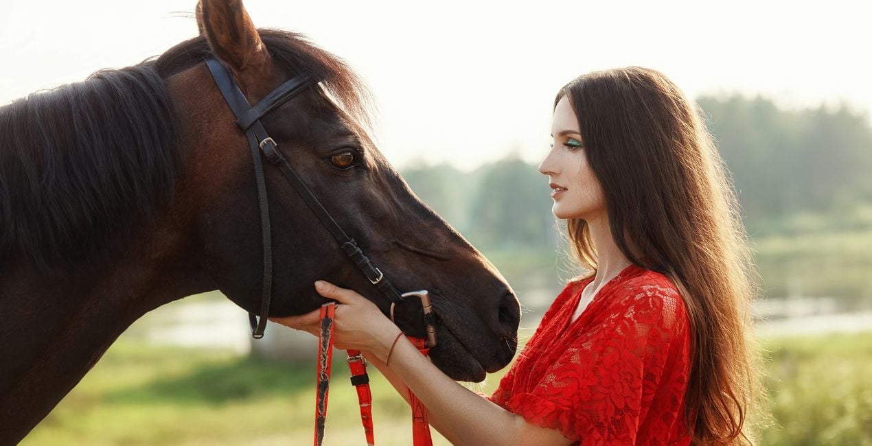 Ajustes Preestablecidos Riendas y Jinetes para Luminar | Marketplace(47)