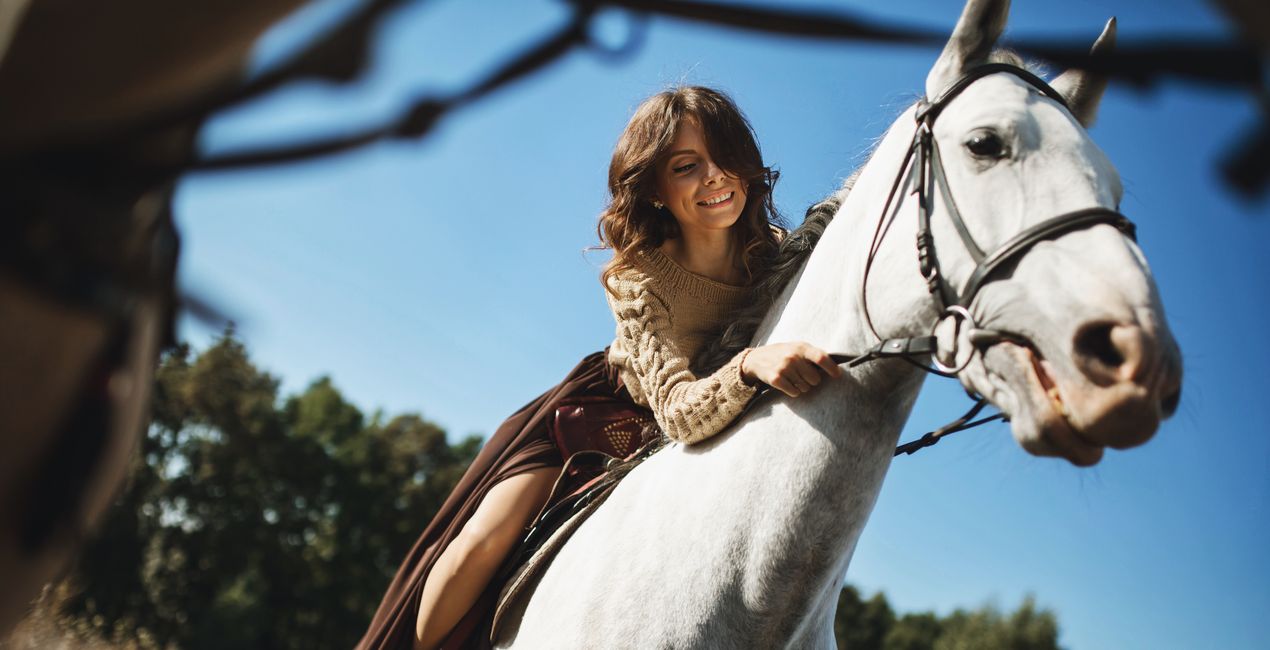 Ajustes Preestablecidos Riendas y Jinetes para Luminar | Marketplace(42)