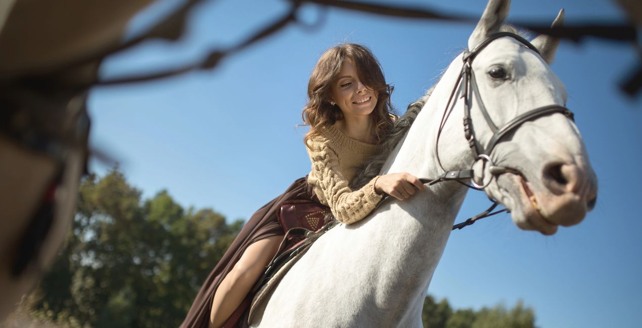 Ajustes Preestablecidos Riendas y Jinetes para Luminar | Marketplace(41)