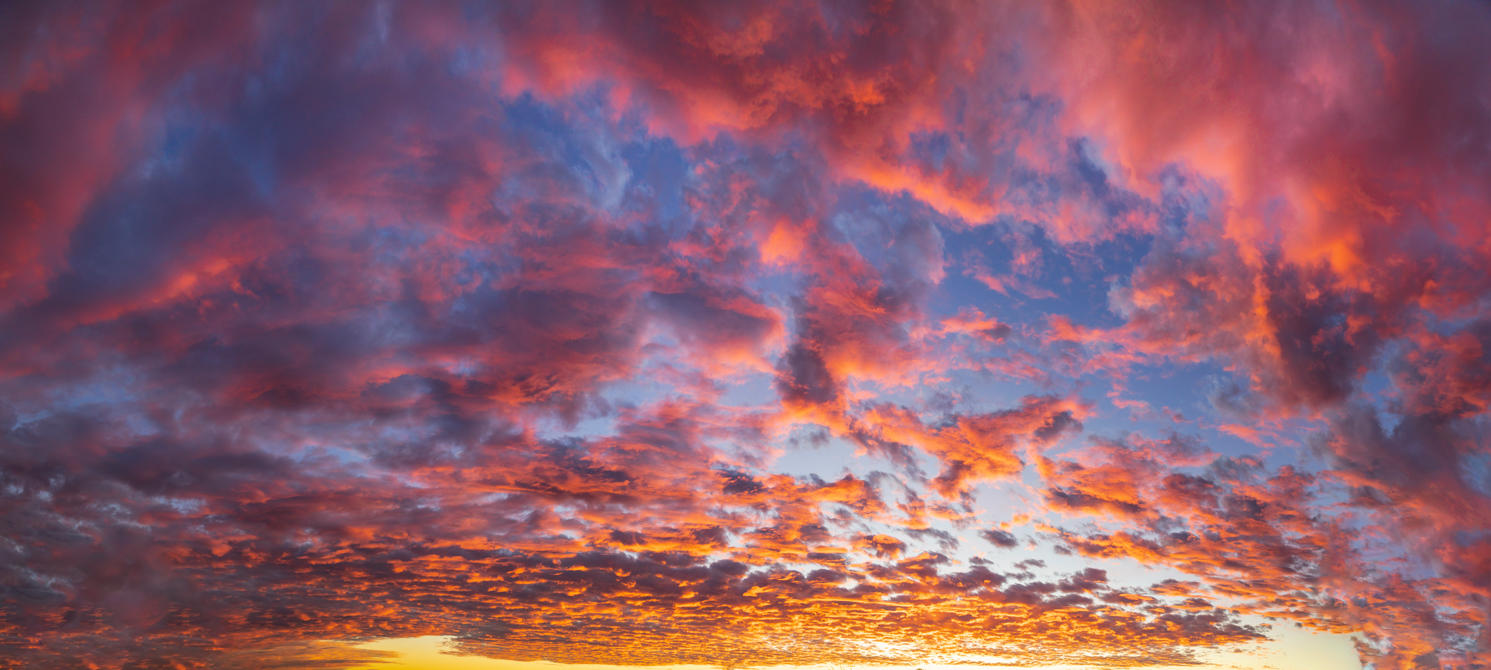 Day of Creation | Luminar Marketplace(49)